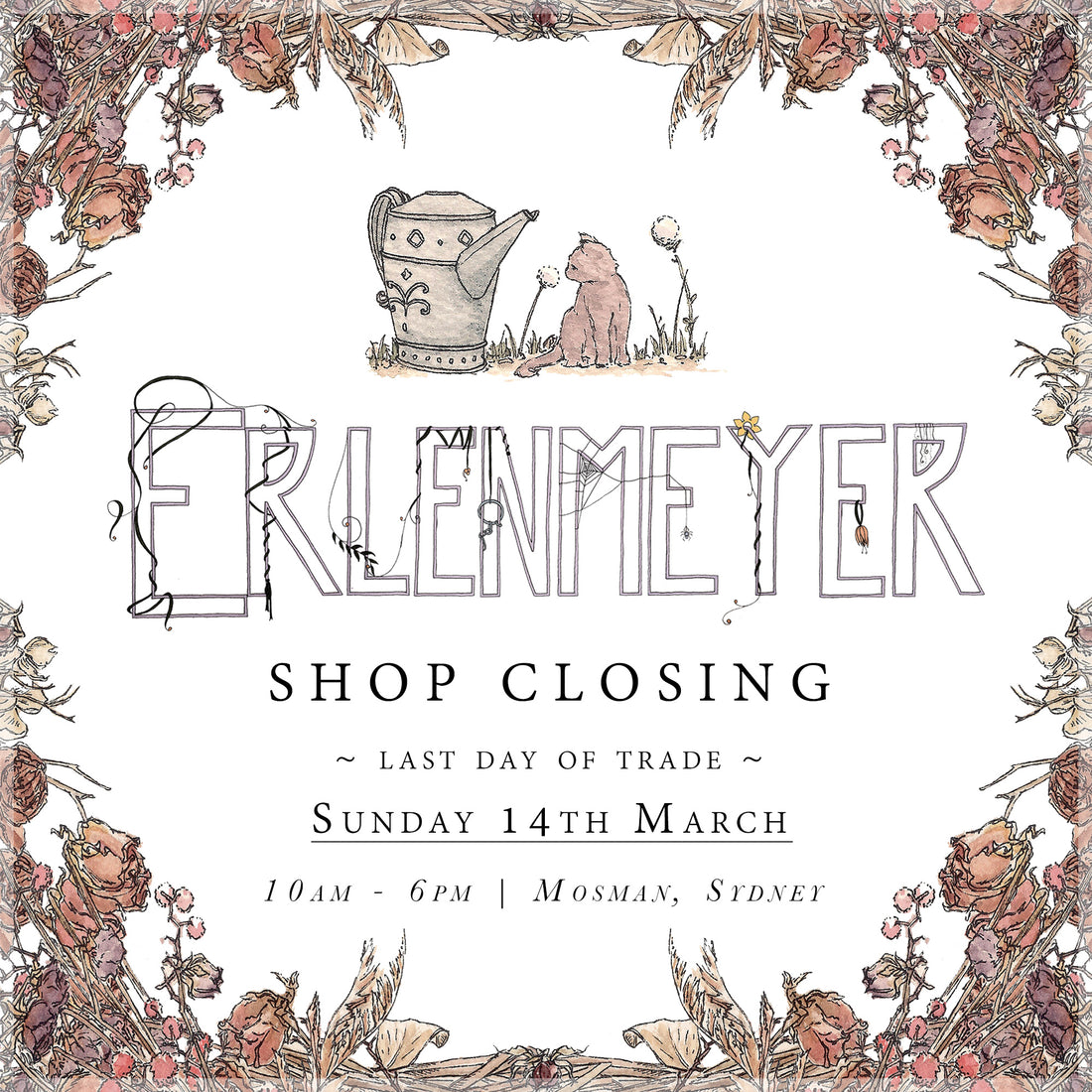E-Newsletter Edition VII: Blessed and Silly // Goodbye For Now