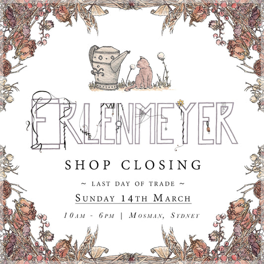 E-Newsletter Edition VII: Blessed and Silly // Goodbye For Now