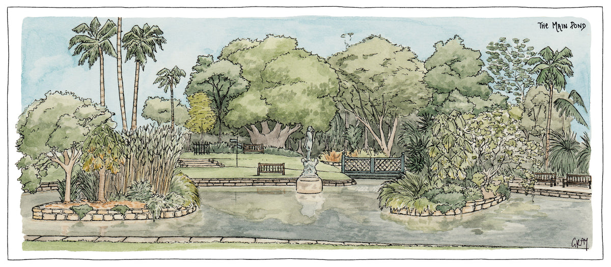 The Main Pond of the Botanic Gardens Sydney - Postcard