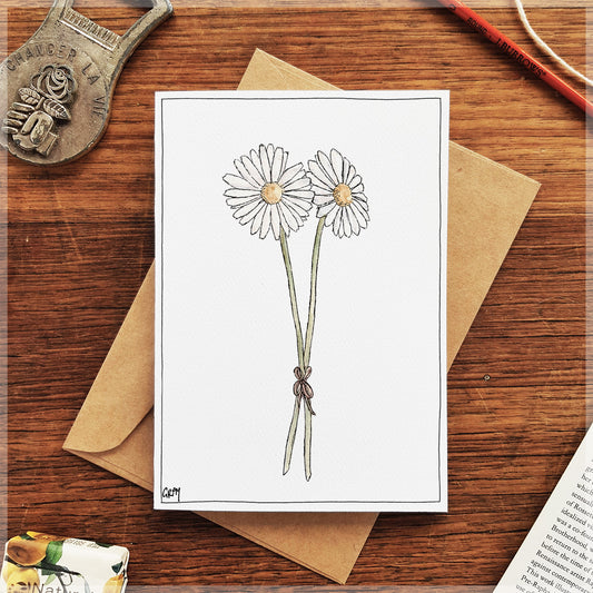 Daisies - Greeting Card