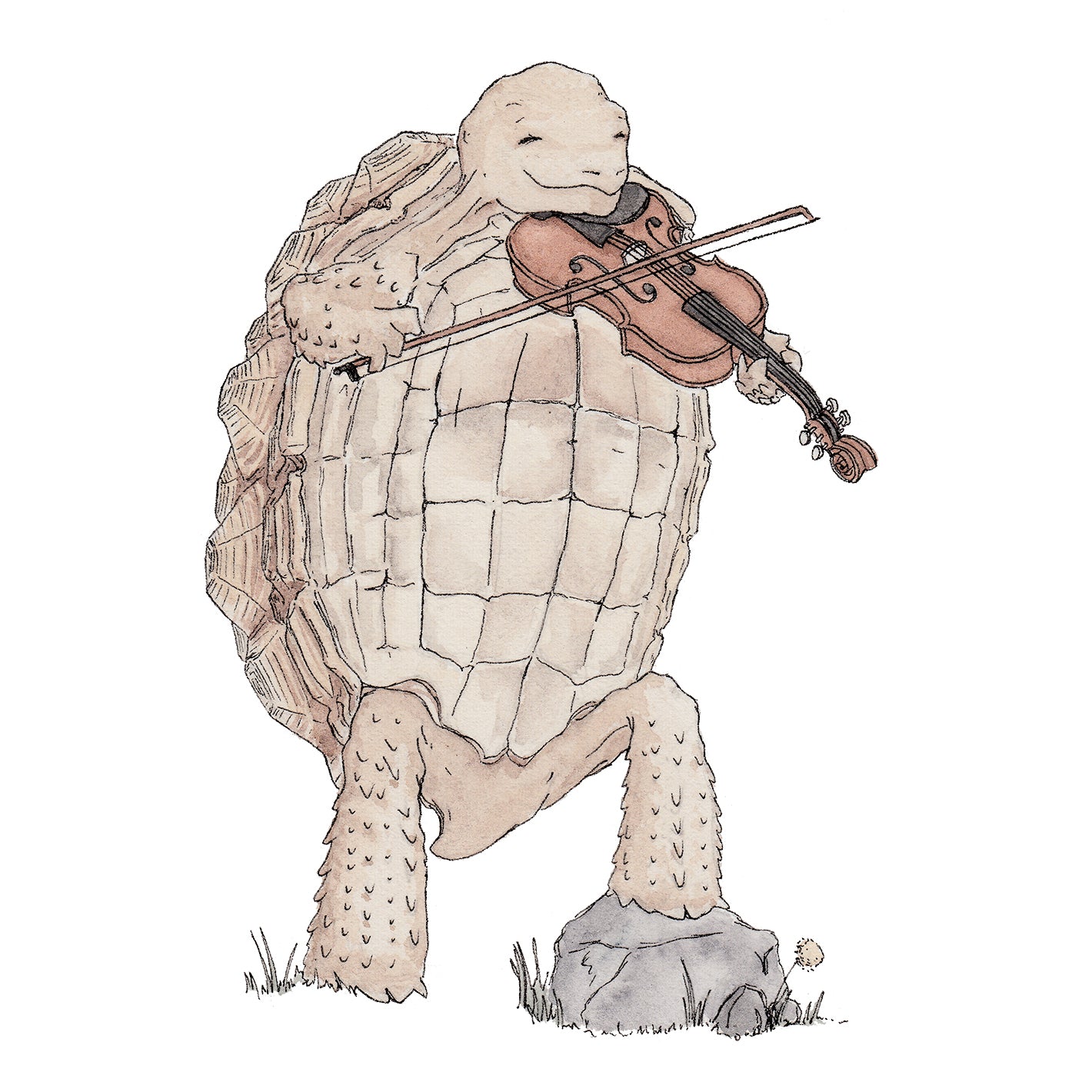 The Tortoise & His Violin - A5 Art Print SKU A517