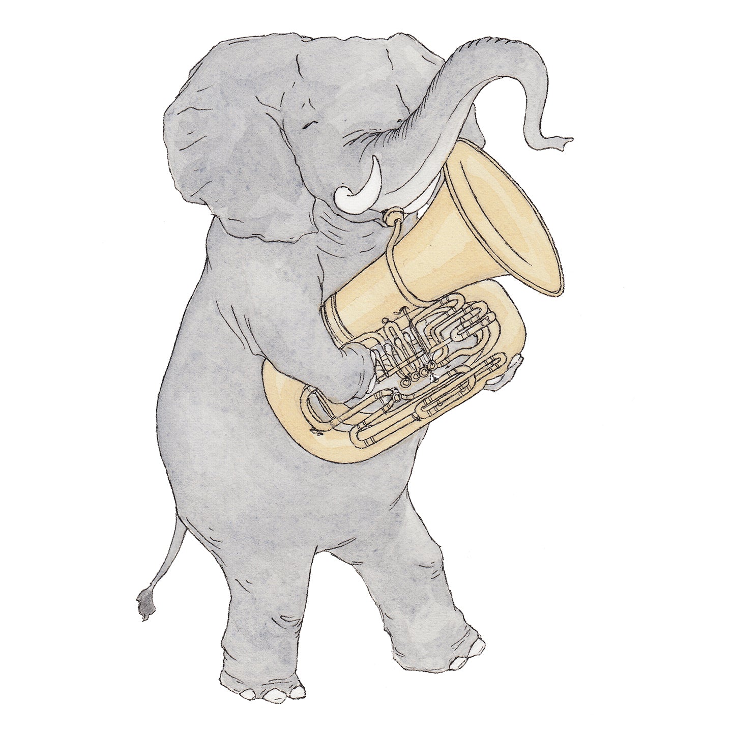 The Elephant & Her Tuba - Greeting Card
