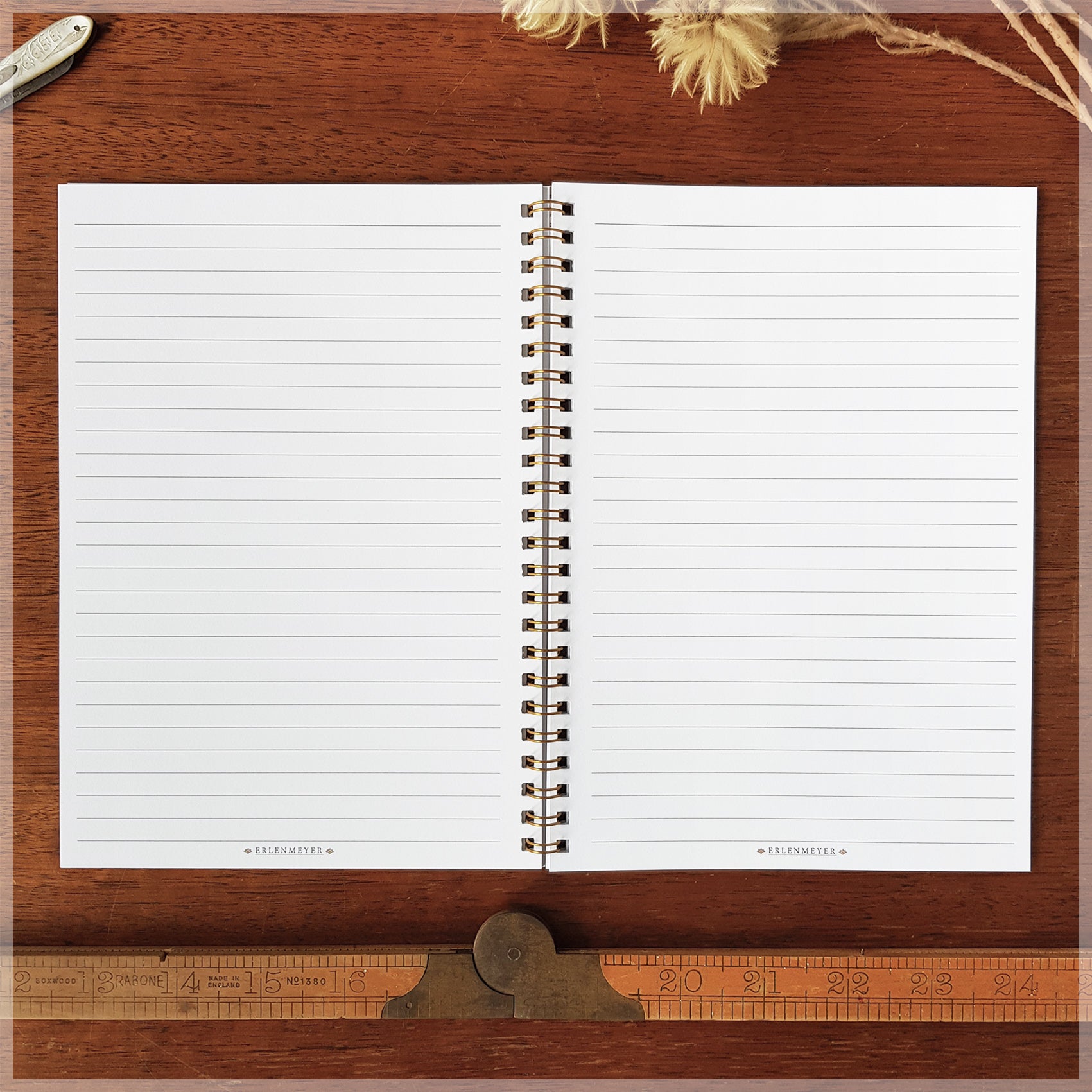 Flat lay photograph of our Erlenmeyer note book. showing the inside pages.