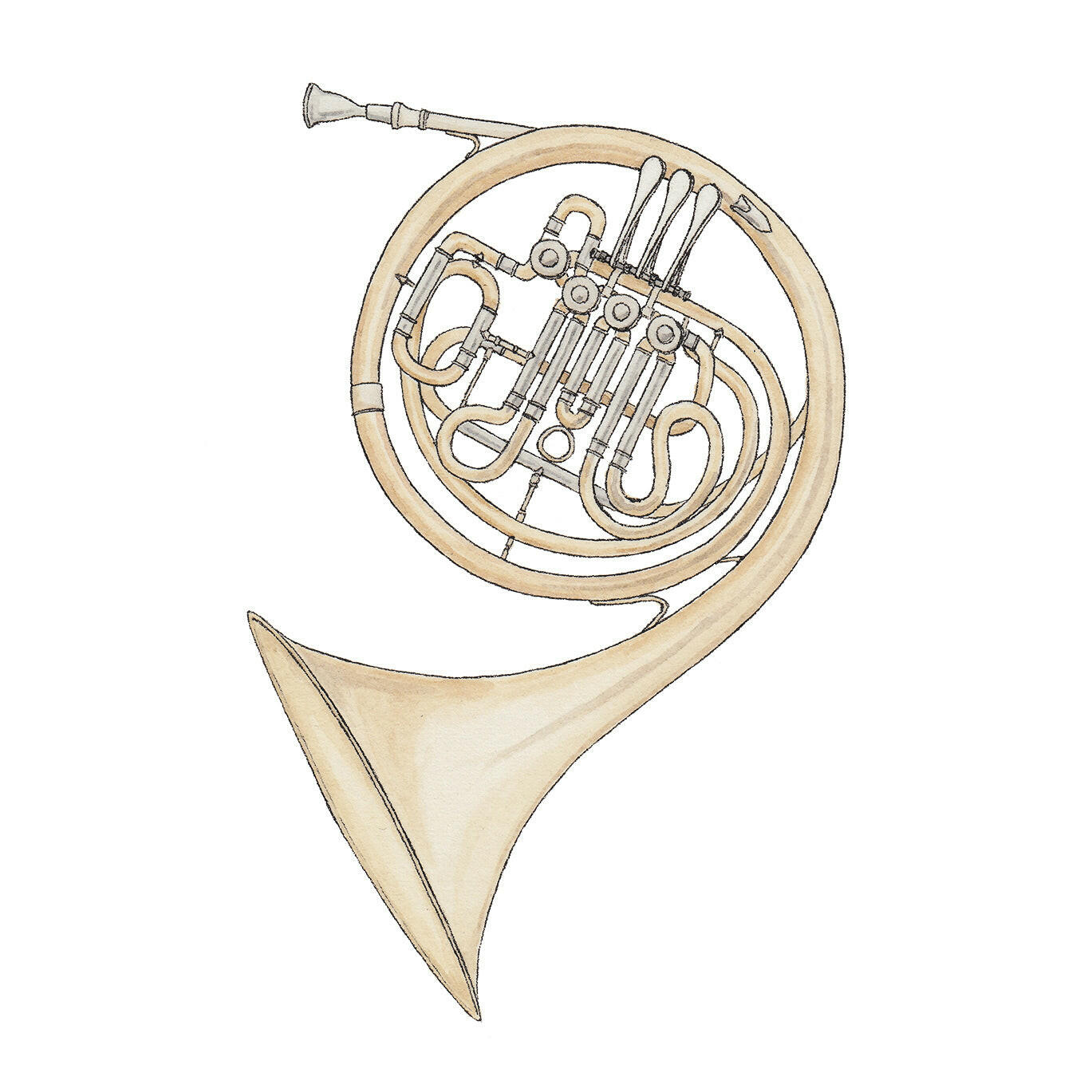 French Horn - Greeting Card