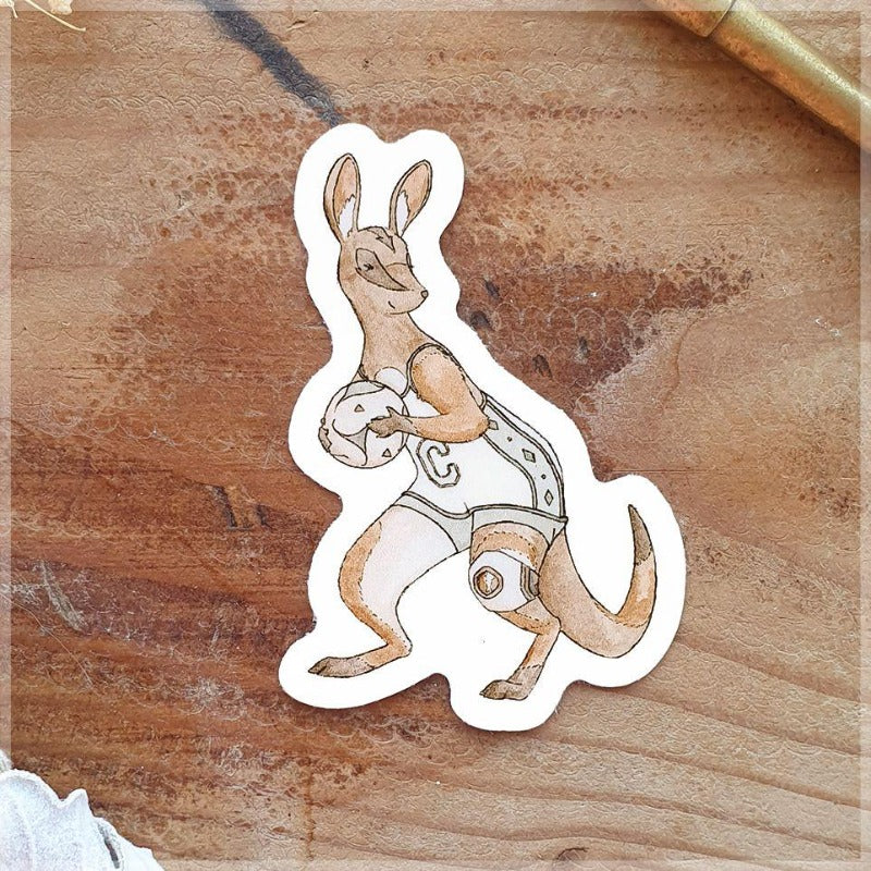 wallaby playing volleyball