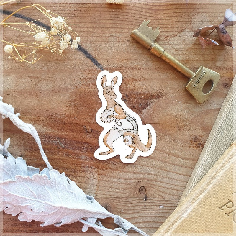 wallaby playing volleyball