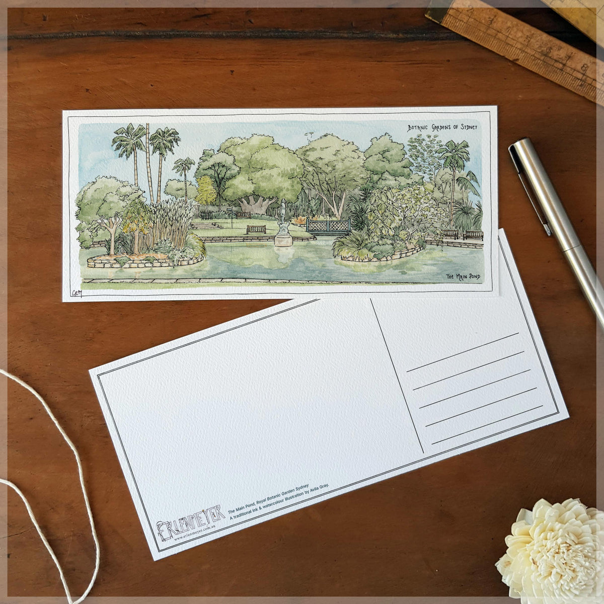 The Main Pond of the Botanic Gardens Sydney - Postcard