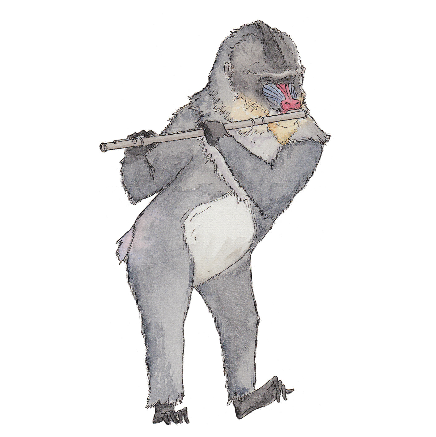 The Mandrill & His Flute - A5 Art Print SKU A511