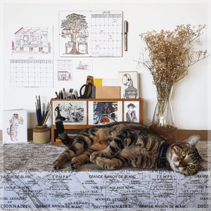 Our charming cat Lucy posing in front of our cat calendar.