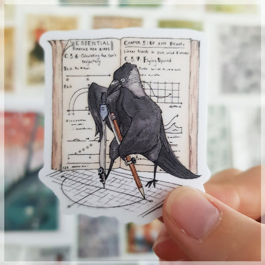 A majestic crow showing off his mathematical skills. He is working on the best flight angle to get to work the quickest.