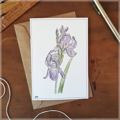 Iris - Greeting Card